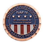 isap iv ice challenge coin front