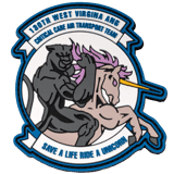 130th west virginia ang critical care air transport team pvc patch