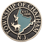 township-of-chatham-new-jersey-lapel-pin