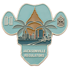 general support aviation battalion dco 1 214th regiment challenge coin 2