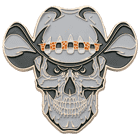 general support aviation battalion dco 1 214th regiment challenge coin 1