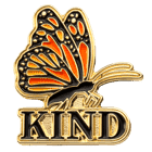 derry area high school be kind lapel pin