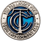 218 legacy fund town and country club lapel pin