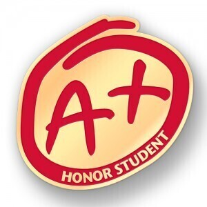 Custom Challenge Coins are an Honorable Gift Admired by Everyone