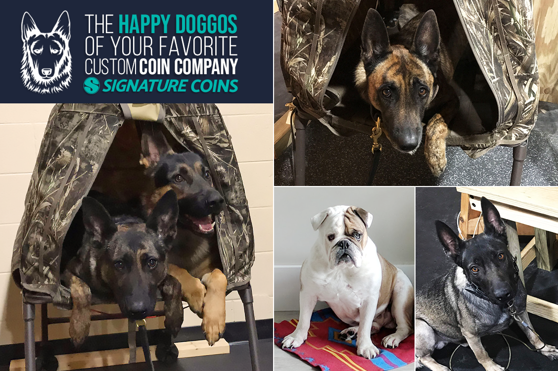 The Happy Doggos of Your Favorite Custom Coin Company