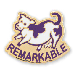 Remember the Osceola County Fair with Custom Lapel Pins