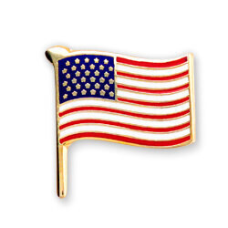 US Constitution Day Lapel Pins