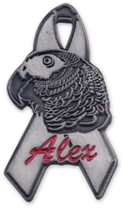 Commemorative Lapel Pins to Raise Funds for and Remember a Worthy Cause