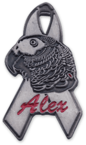 Commemorative Lapel Pins to Raise Funds for and Remember a Worthy Cause