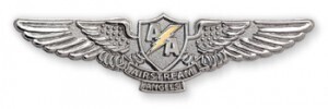 Custom Lapel Pins to Help Identify Your Pilots and Airline Staff