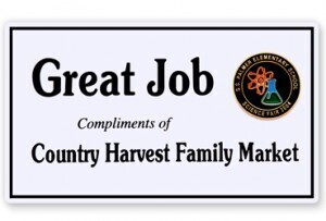 Custom Lapel Pins Attached to Cardstock Commemorate a Job Well Done