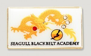 Add Gemstones to Your Silk Screen Lapel Pins for Added Specialty and Uniqueness