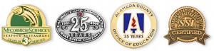 Twenty-Five Year Anniversary Lapel Pins for Your Local Group or Organization