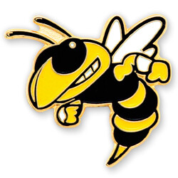 Mascot Lapel Pins Help Promote and Identify Teams