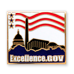 Government Campaign Lapel Pins Help Win Votes