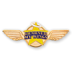 National Aviation Day Lapel Pins Gives Businesses a Reason to Celebrate