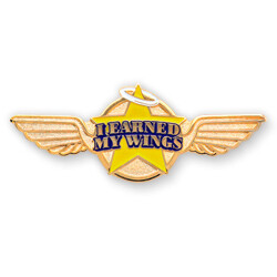 National Aviation Day Lapel Pins Gives Businesses a Reason to Celebrate