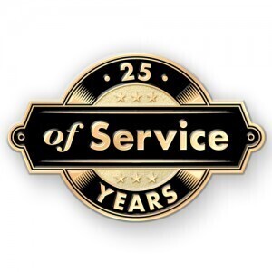 Employee Recognition Lapel Pins Showcase Your Shining Stars