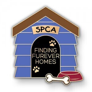 Appreciate Your Local Animal Shelter This Week with Custom Lapel Pins